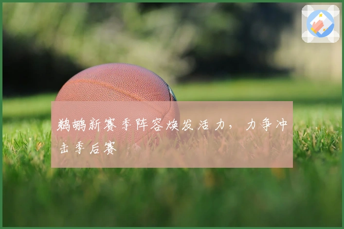 鹈鹕新赛季阵容焕发活力，力争冲击季后赛