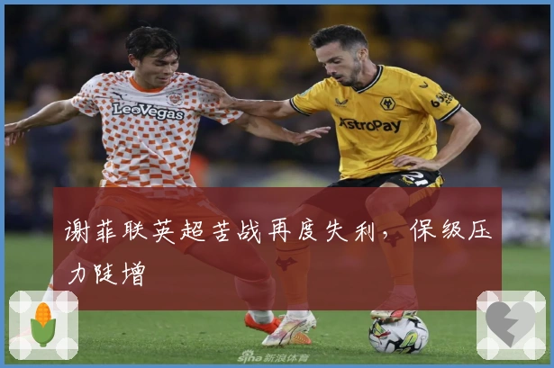 谢菲联英超苦战再度失利,保级压力陡增