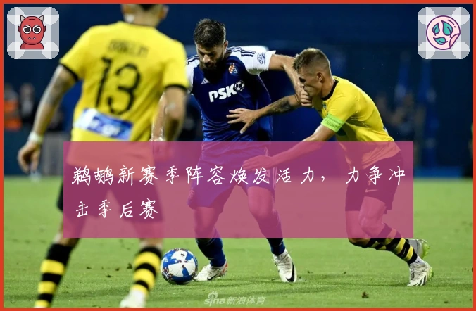 鹈鹕新赛季阵容焕发活力，力争冲击季后赛