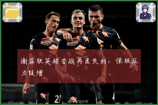 谢菲联英超苦战再度失利，保级压力陡增