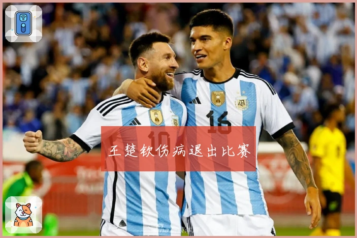 王楚钦伤病退出比赛