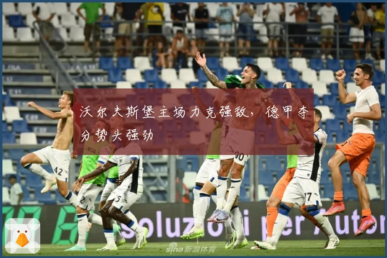 沃尔夫斯堡主场力克强敌，德甲夺分势头强劲